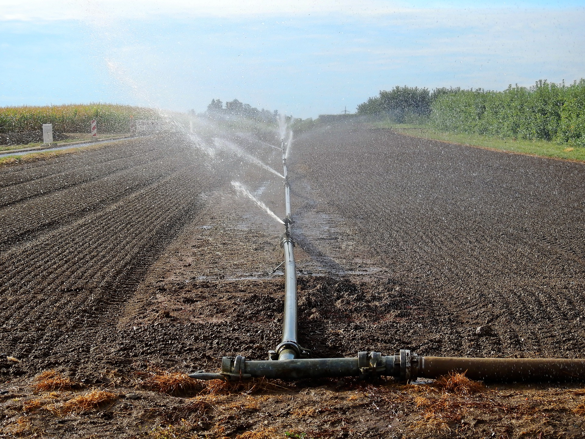 feld_bewässerung feld_bewässerung